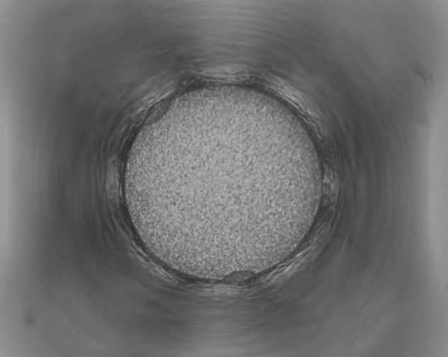 X0000111051058200908061513