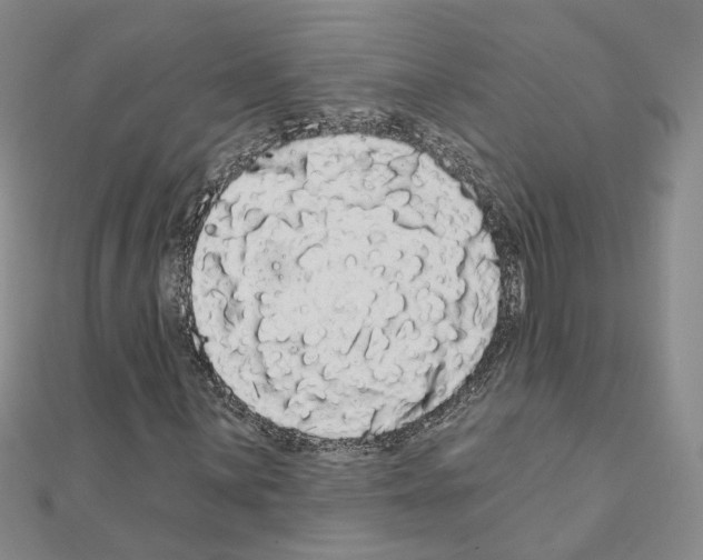 X0000111051059200908061513