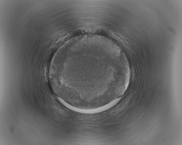 X0000111051060200908061513