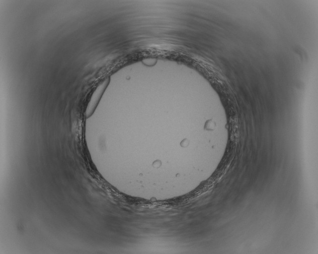 X0000111051061200908061513