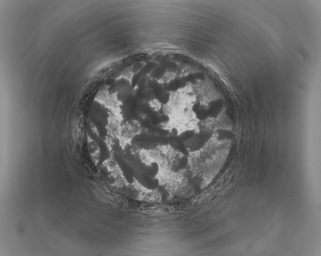 X0000111051063200908061513