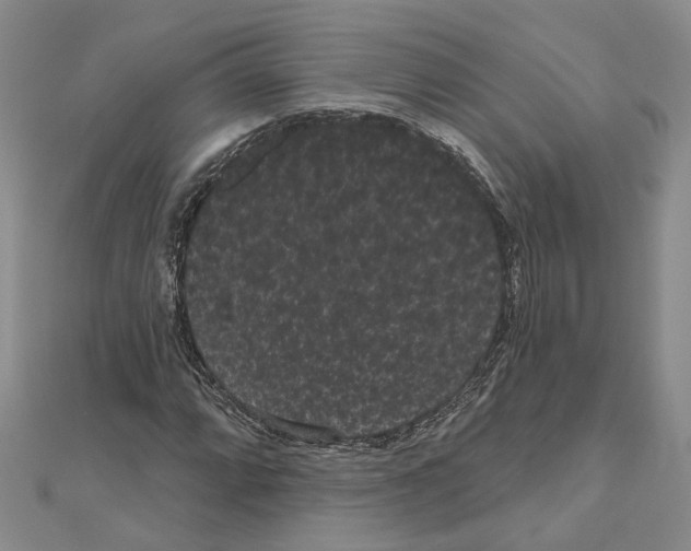 X0000111051064200908061513