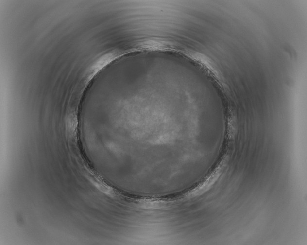 X0000111051065200908061513