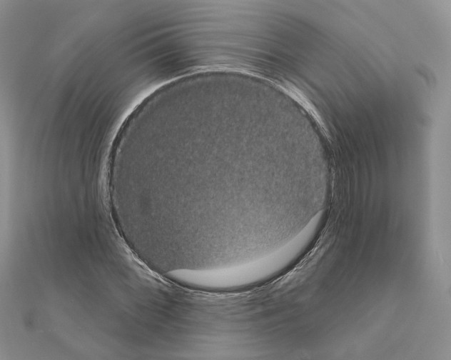 X0000111051068200908061513