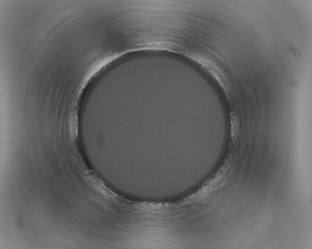 X0000111051069200908061513