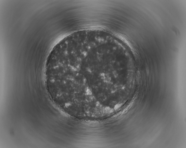 X0000111051071200908061513