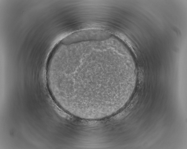 X0000111051072200908061513