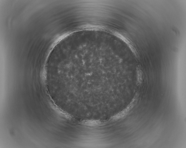 X0000111051074200908061513