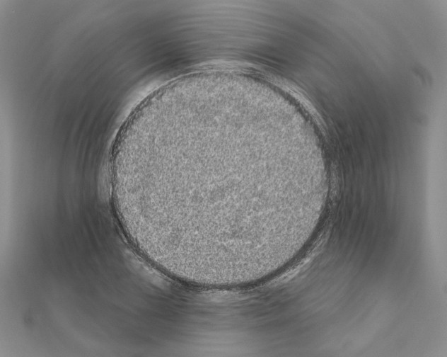 X0000111051075200908061513