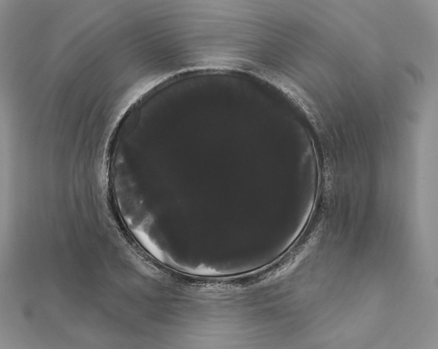 X0000111051077200908061513