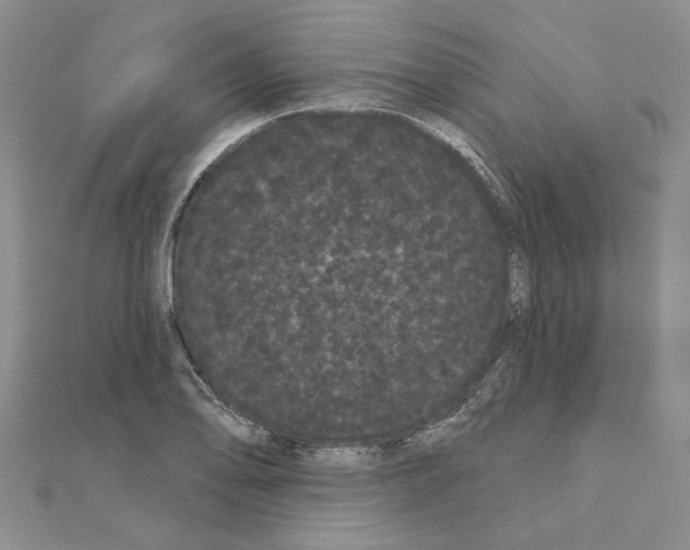 X0000111051078200908061513