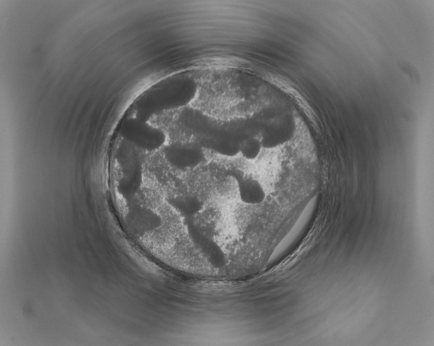 X0000111051083200908061513