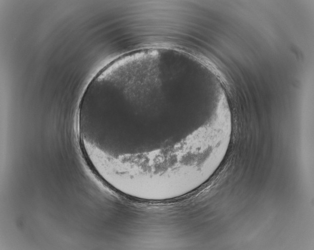 X0000111051084200908061512