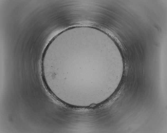 X0000111051085200908061512