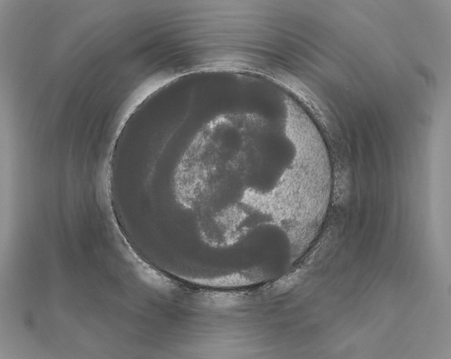 X0000111051086200908061512