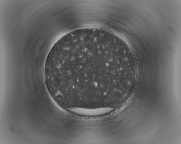 X0000111051087200908061512