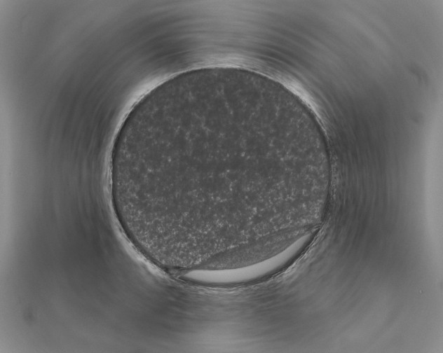 X0000111051088200908061512