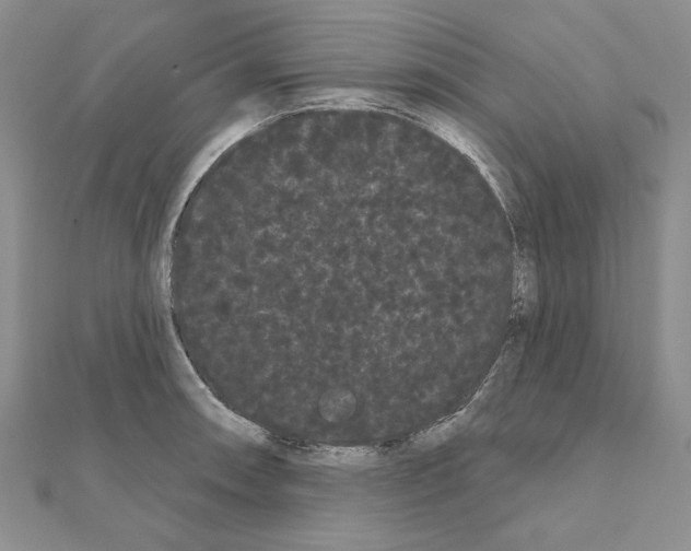 X0000111051090200908061512