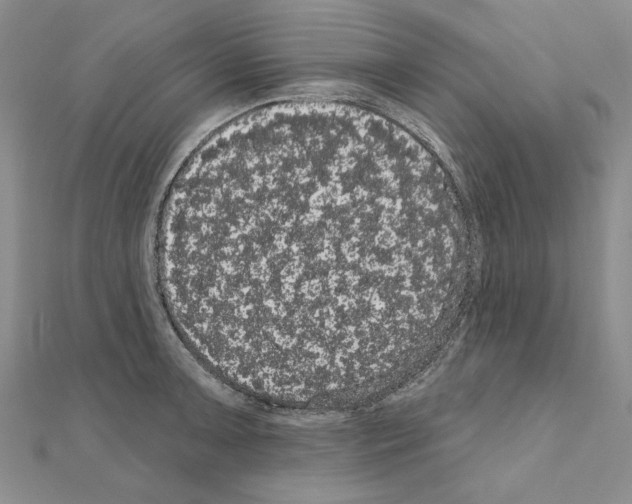 X0000111051091200908061512