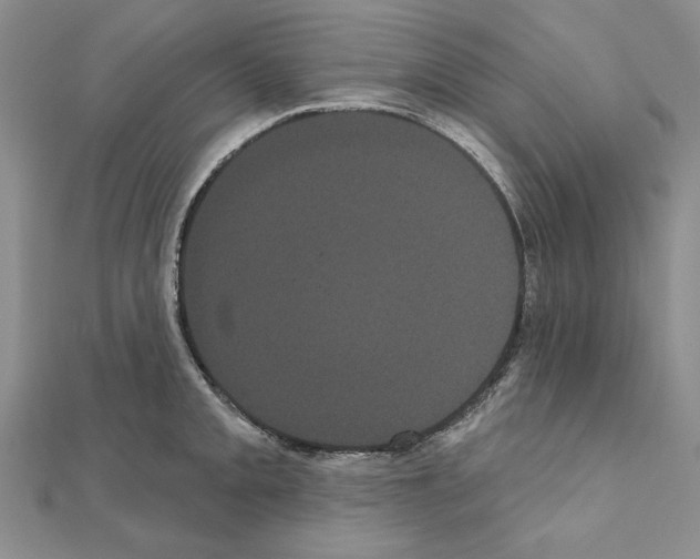 X0000111051093200908061512