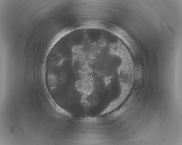 X0000111051094200908061512