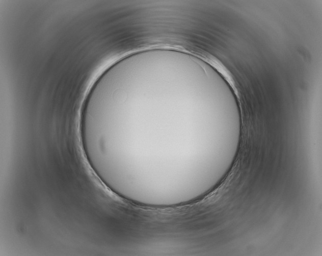 X0000111051096200908061512