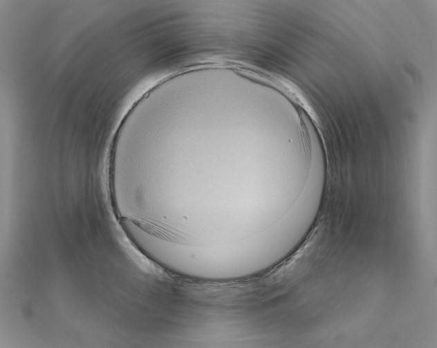 X0000111051098200908061512