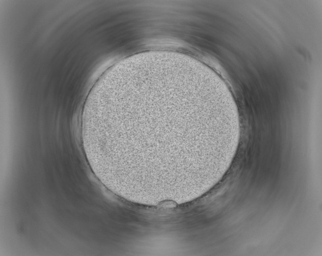 X0000111051103200908061512