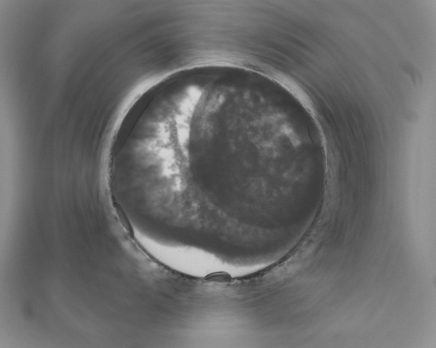 X0000111051104200908061512