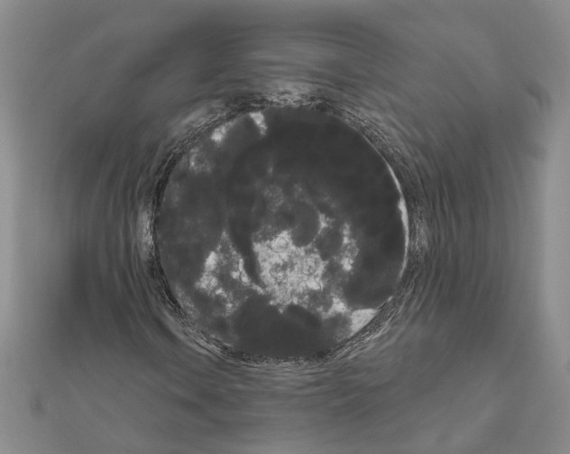 X0000111051106200908061512