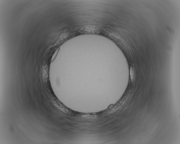 X0000111051107200908061512