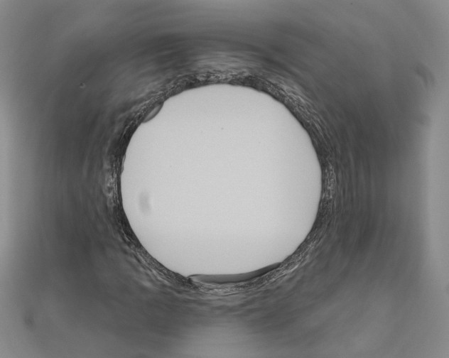 X0000111051109200908061512