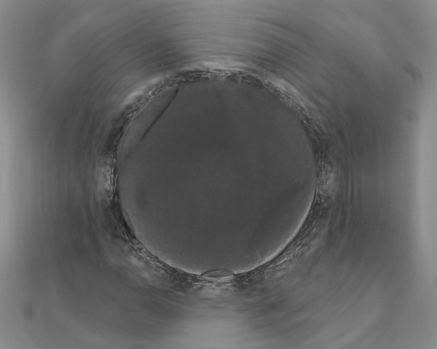 X0000111051110200908061512