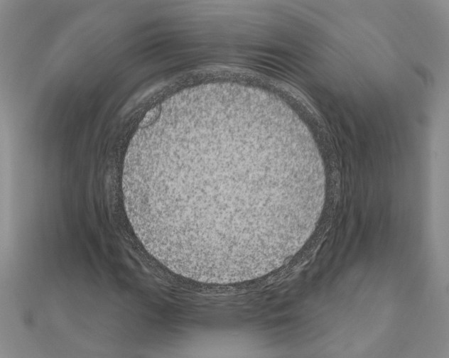 X0000111051111200908061512