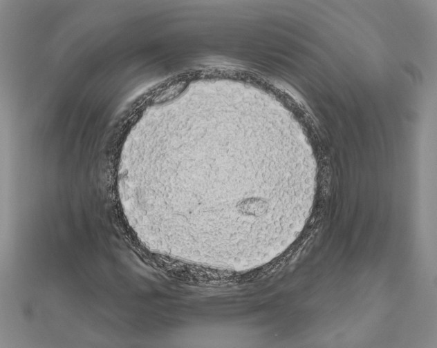 X0000111051112200908061512