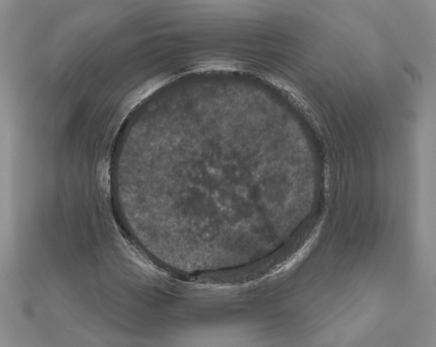 X0000111051113200908061512