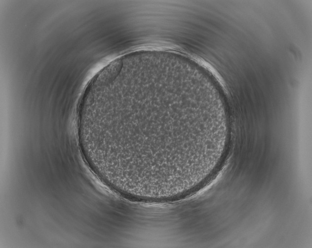 X0000111051114200908061512