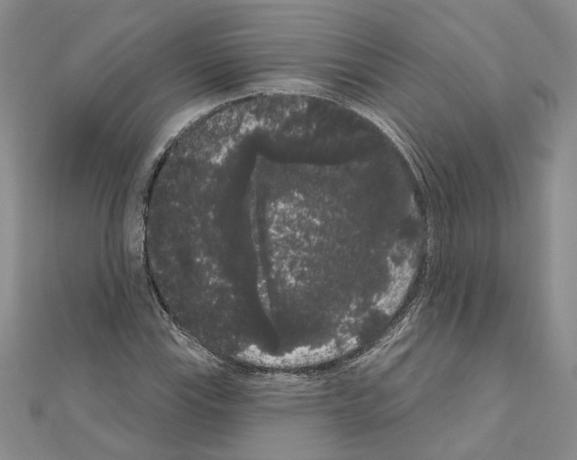 X0000111051115200908061512