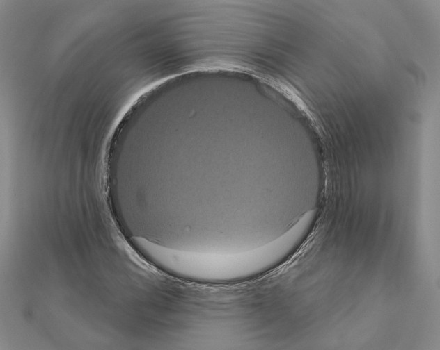 X0000111051116200908061512