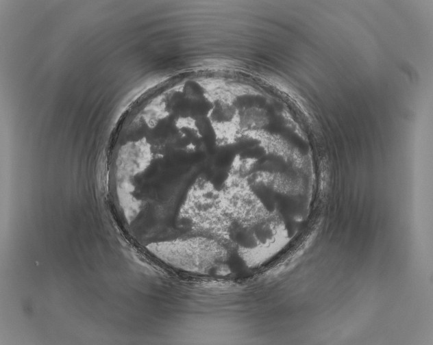 X0000111051117200908061512