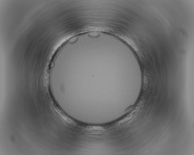 X0000111051119200908061512