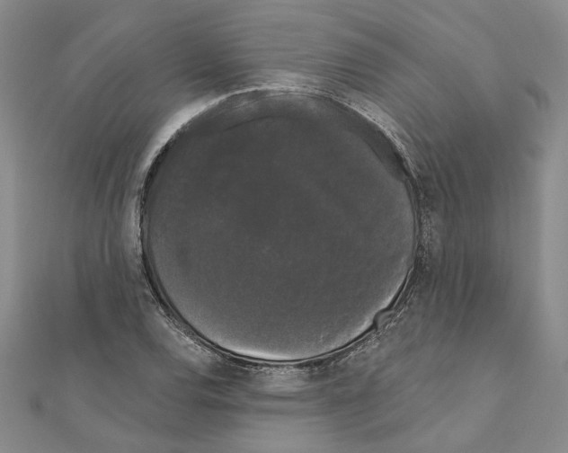 X0000111051120200908061512