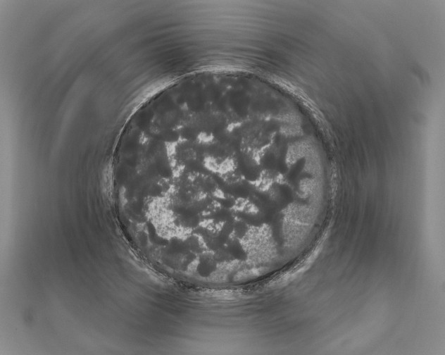 X0000111051121200908061512