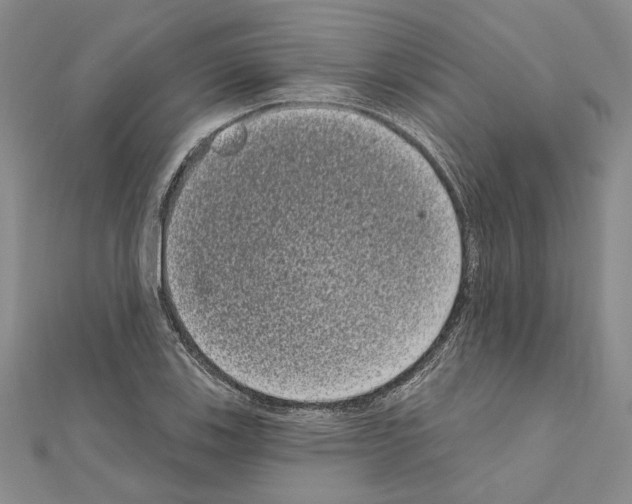 X0000111051123200908061512