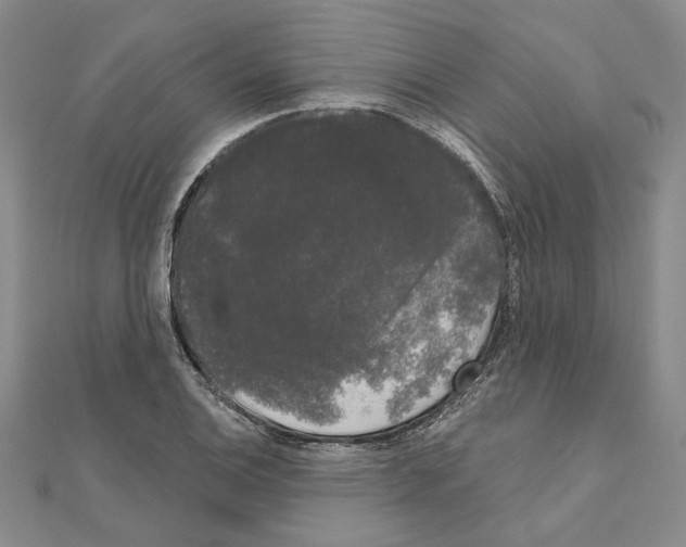 X0000111051124200908061512