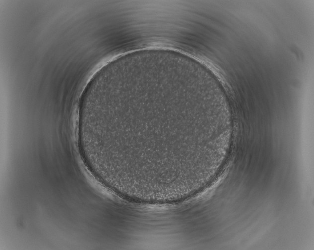 X0000111051126200908061512