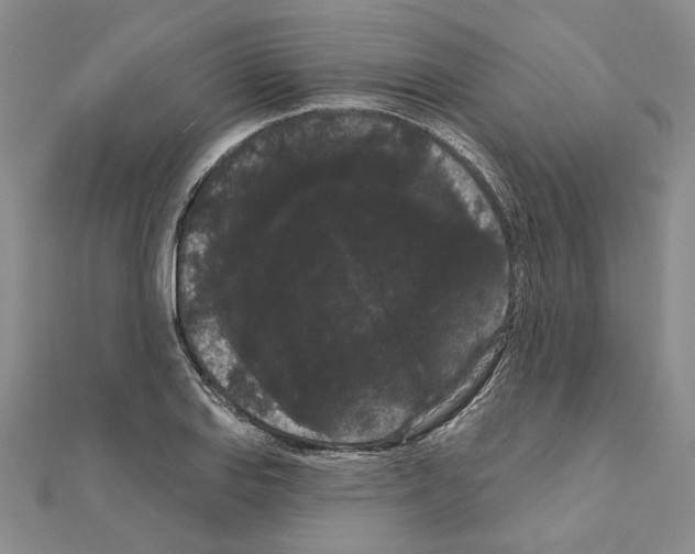 X0000111051127200908061512