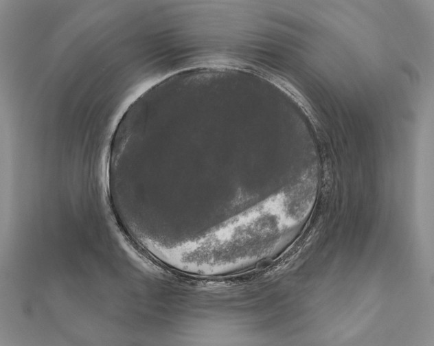 X0000111051128200908061512