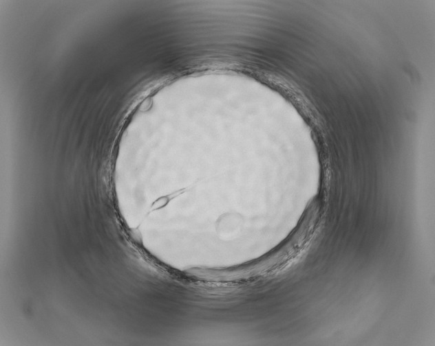 X0000111051129200908061512