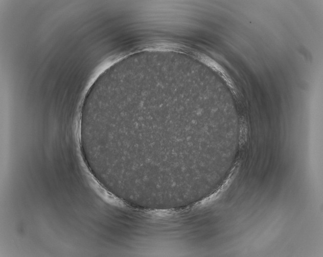 X0000111051130200908061512